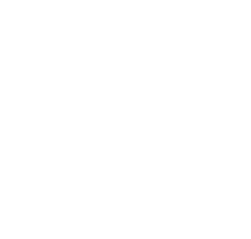 Domy Bez Stresu Logo